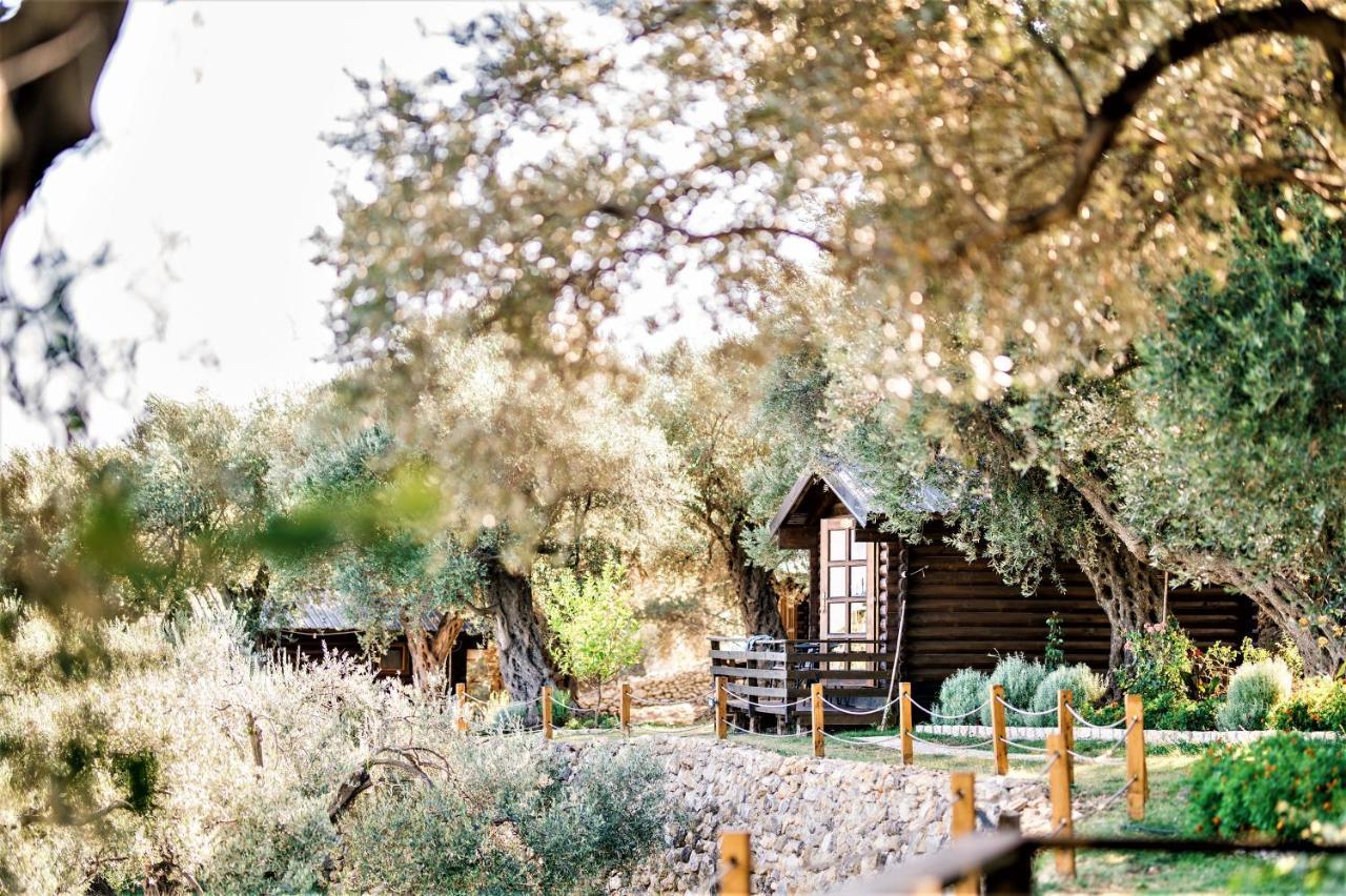 Holiday Park Olive Tree Ülgün Dış mekan fotoğraf