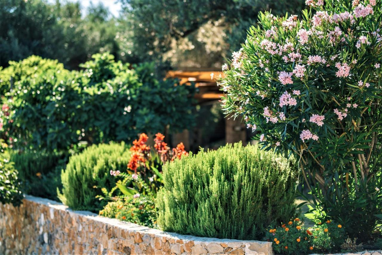 Holiday Park Olive Tree Ülgün Dış mekan fotoğraf