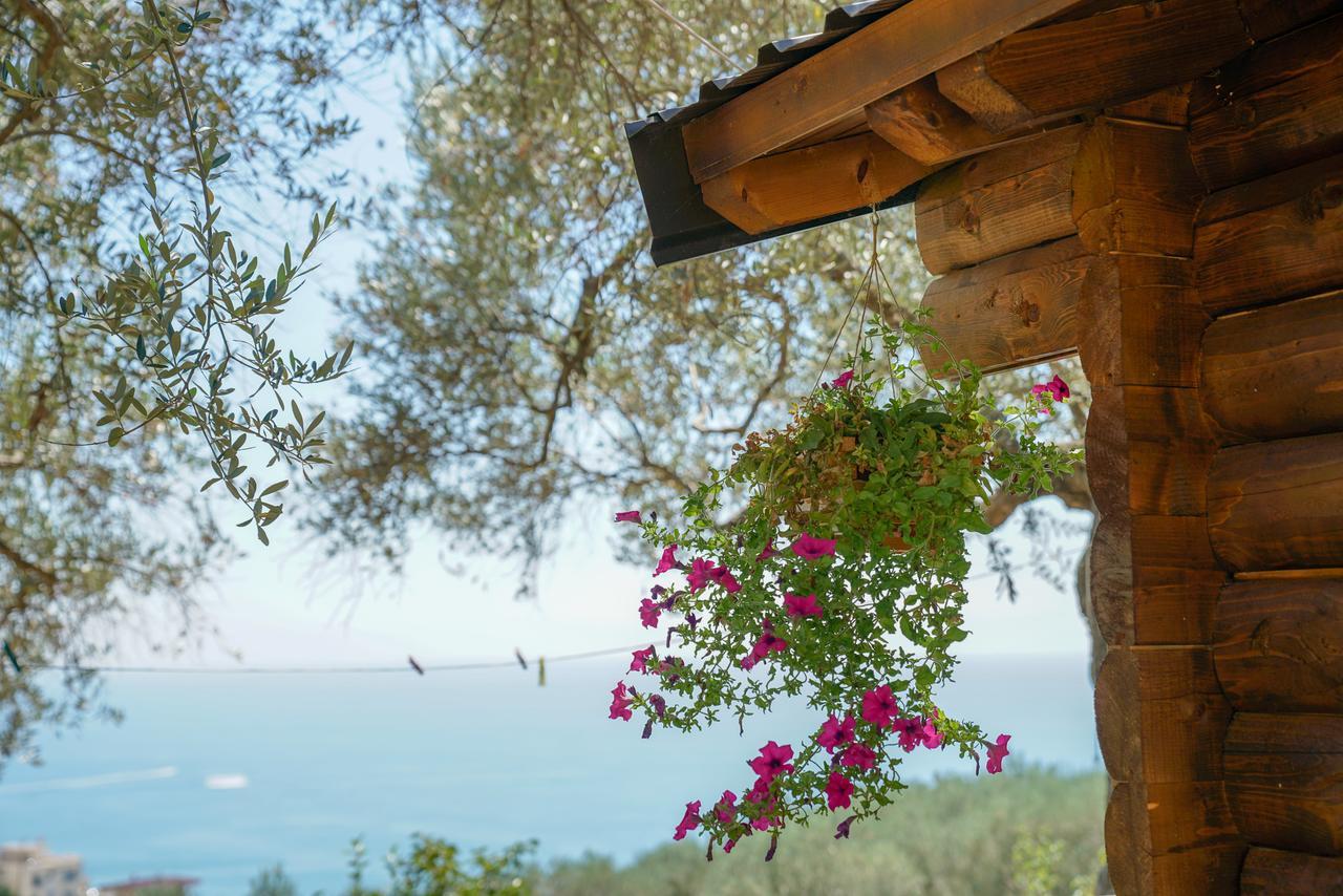 Holiday Park Olive Tree Ülgün Dış mekan fotoğraf